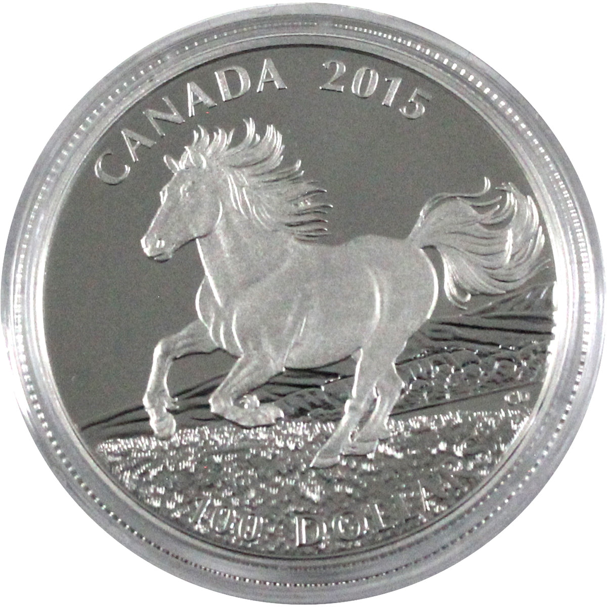2015 $100 for $100 Canadian Horse Fine Silver (No Tax) Capsule Only (Coin scuffed)
