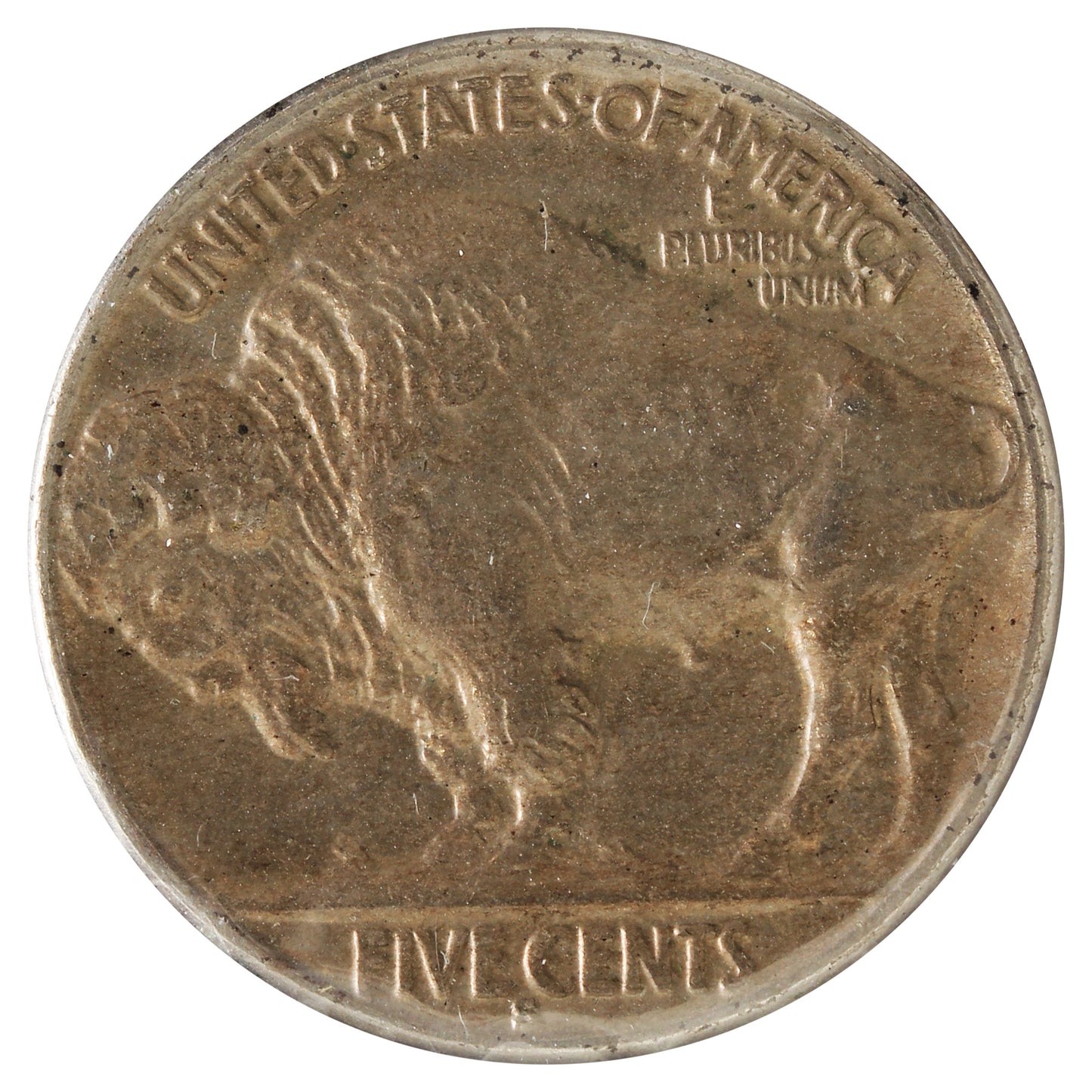 1928 S USA Nickel Almost Uncirculated (AU50) Scratched