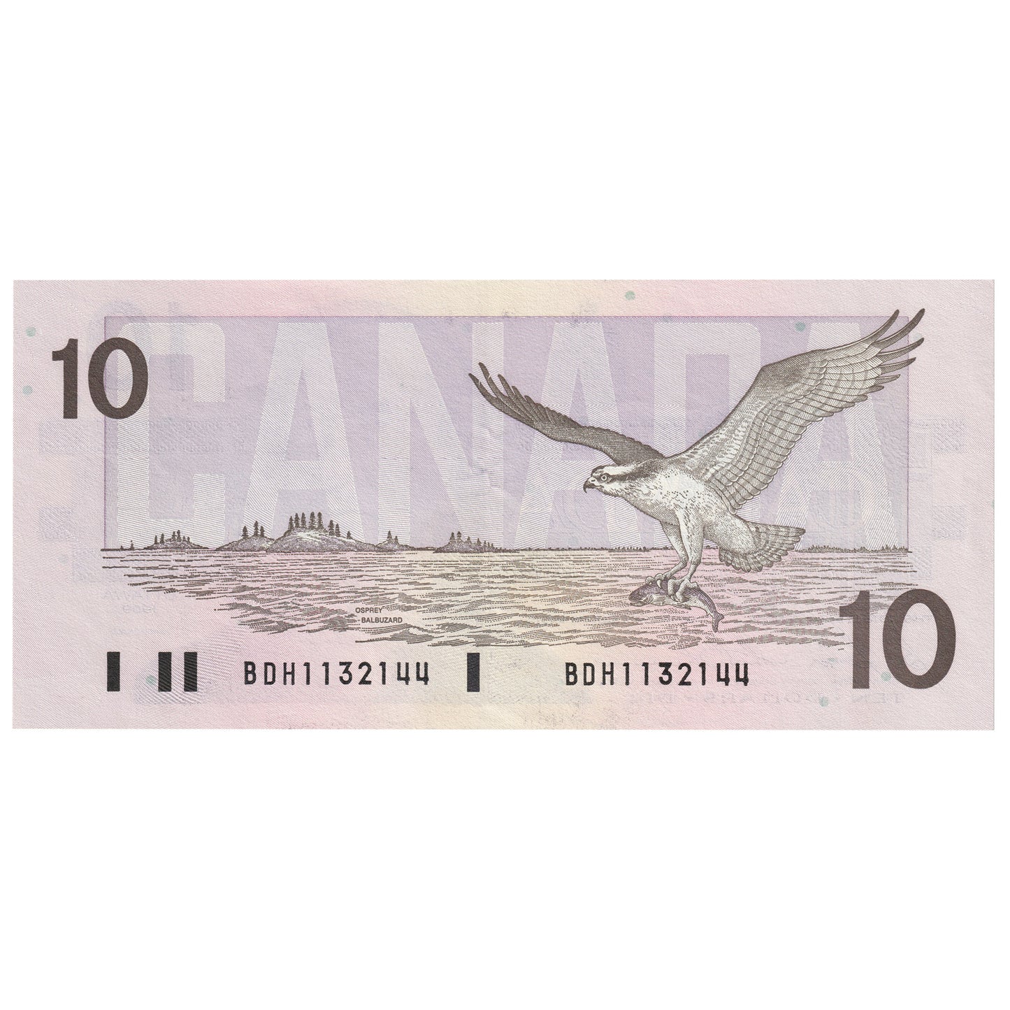 BC-57b 1989 Canada $10 Bonin-Thiessen, BDH, EF-AU