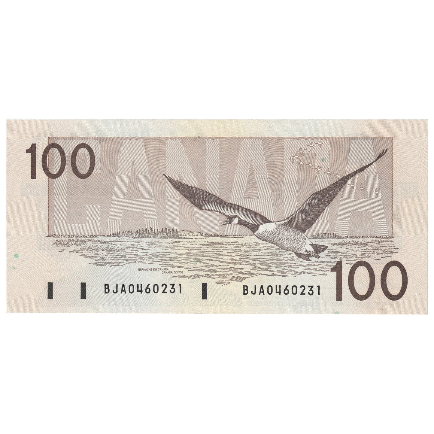 BC-60a-i 1988 Canada $100 Thiessen-Crow, BJA, CUNC