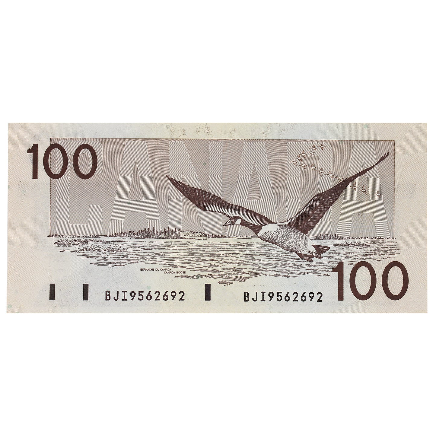 BC-60c 1988 Canada $100 Knight-Thiessen, BJI, CUNC