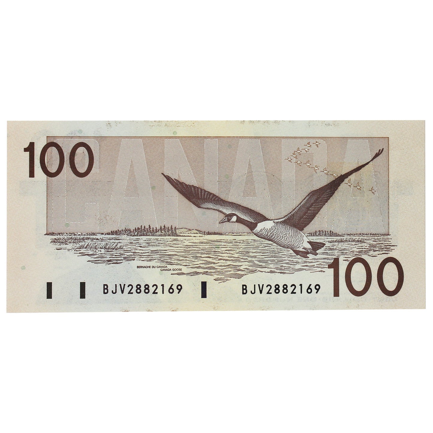 BC-60d 1988 Canada $100 Knight-Dodge, BJV, CUNC