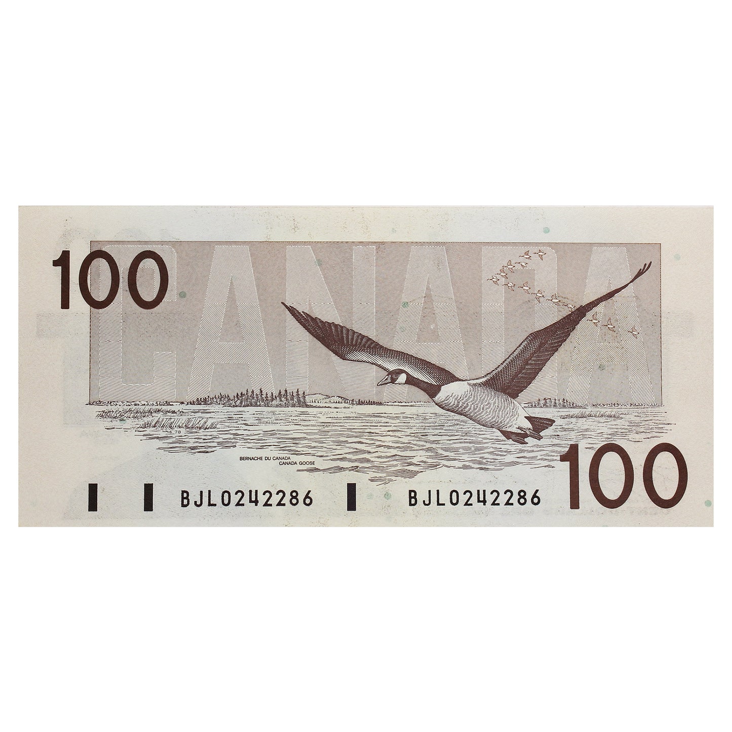 BC-60c 1988 Canada $100 Knight-Thiessen, BJL, UNC