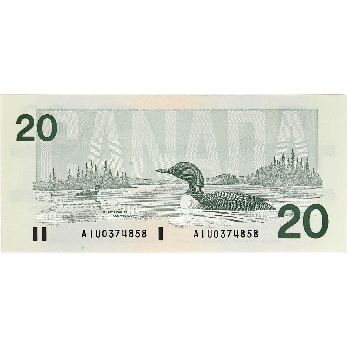 BC-58a-ii 1991 Canada $20 Thiessen-Crow, AIU, UNC