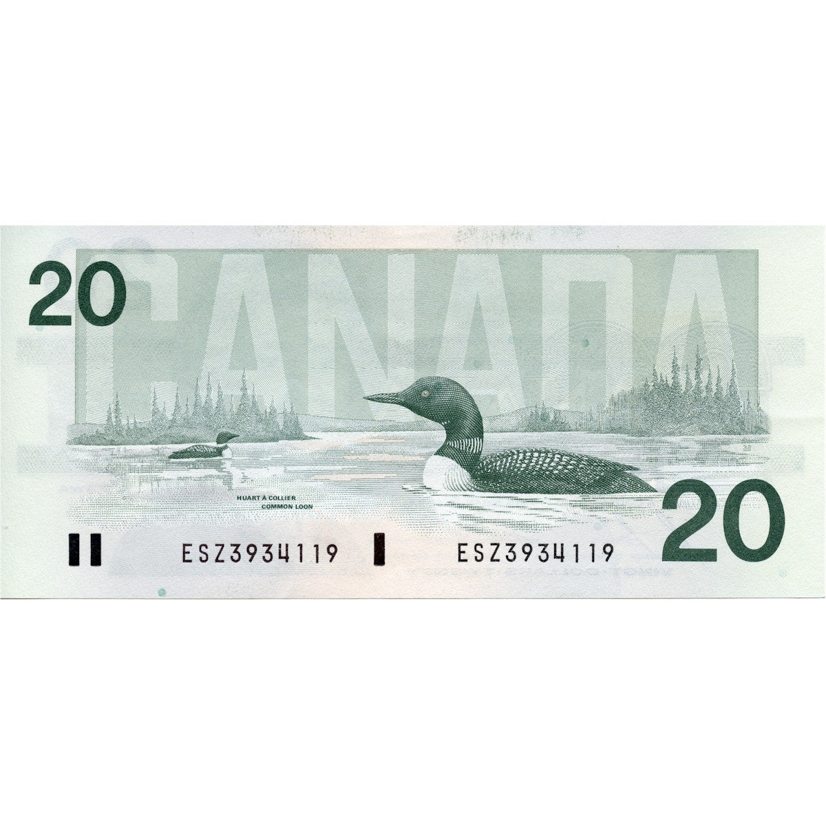 BC-58b 1991 Canada $20 Bonin-Thiessen, ESZ with BPN, Almost Uncirculated (AU50)