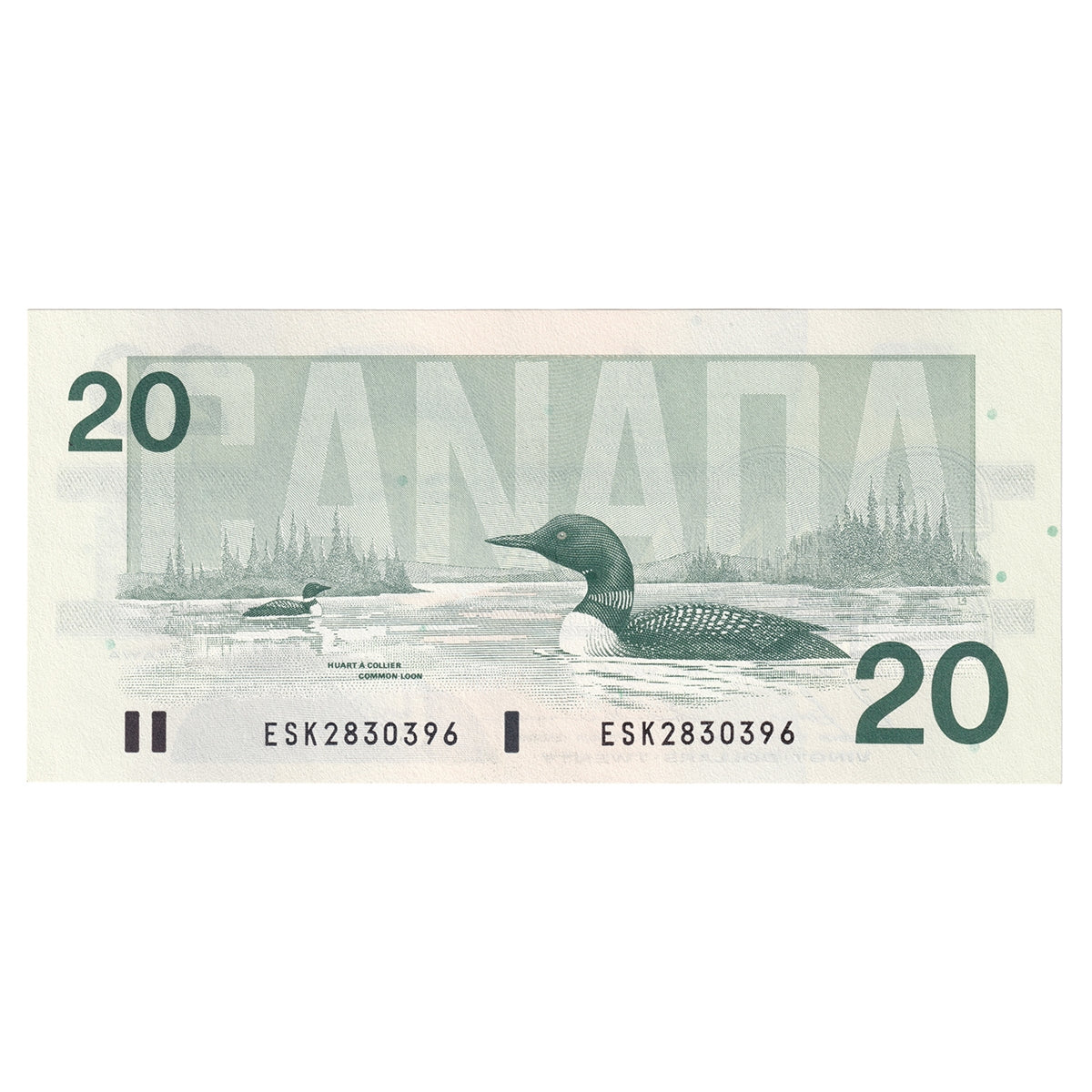 BC-58b 1991 Canada $20 Bonin-Thiessen, ESK, CUNC