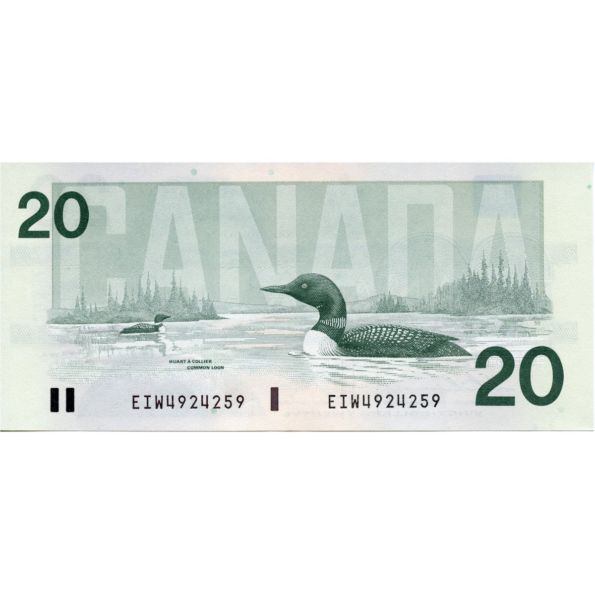 BC-58a-i 1991 Canada $20 Thiessen-Crow, EIW, circ