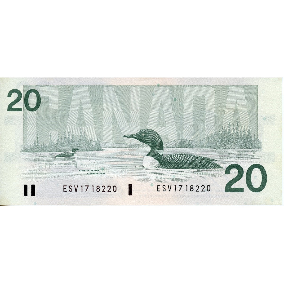 BC-58b 1991 Canada $20 Bonin-Thiessen, ESV, UNC