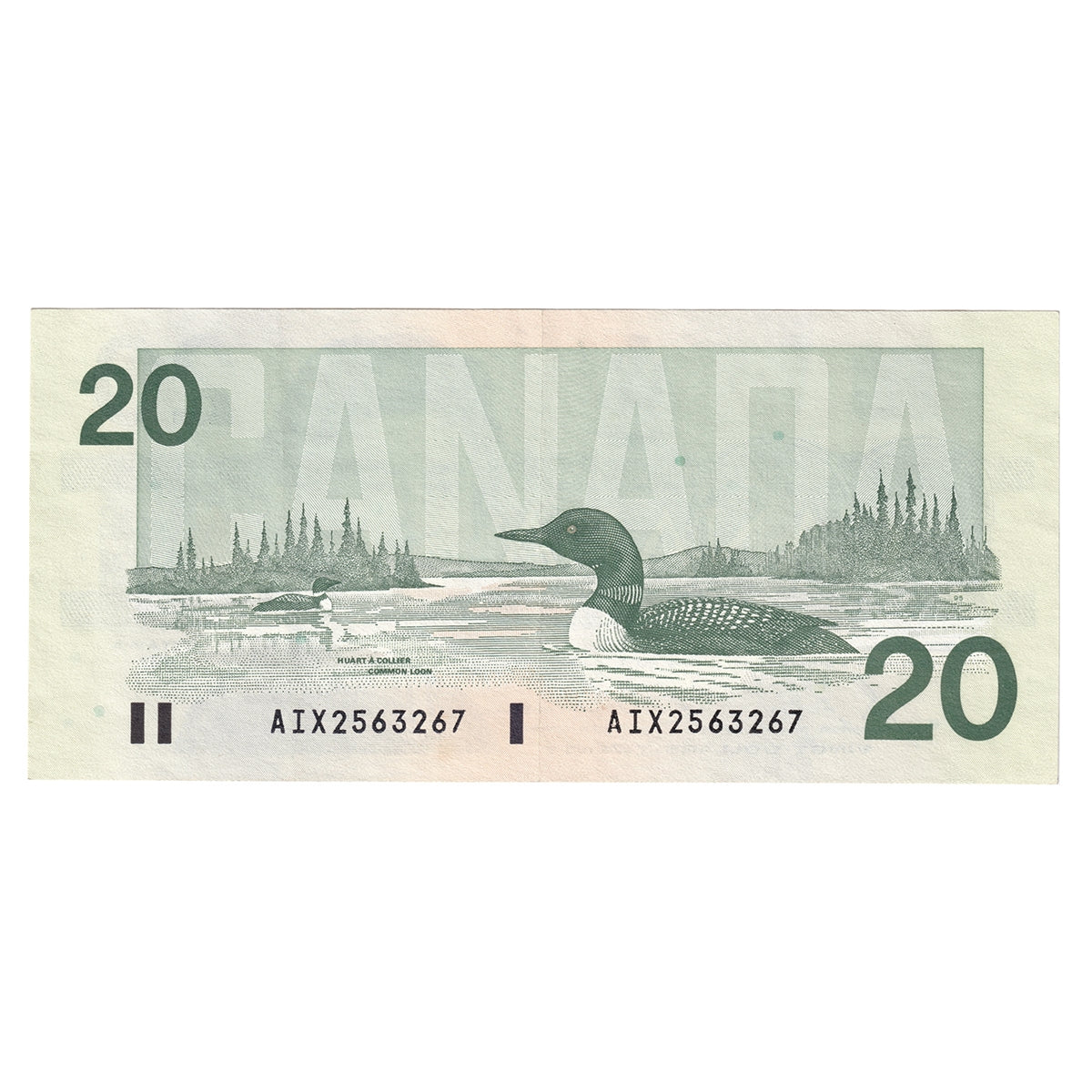 BC-58bA-i 1991 Canada $20 Bonin-Thiessen, AIX, EF