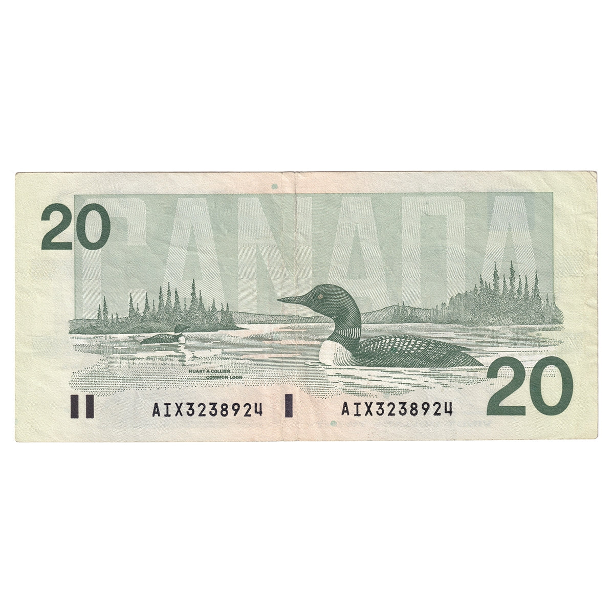 BC-58bA-i 1991 Canada $20 Bonin-Thiessen, AIX, VF