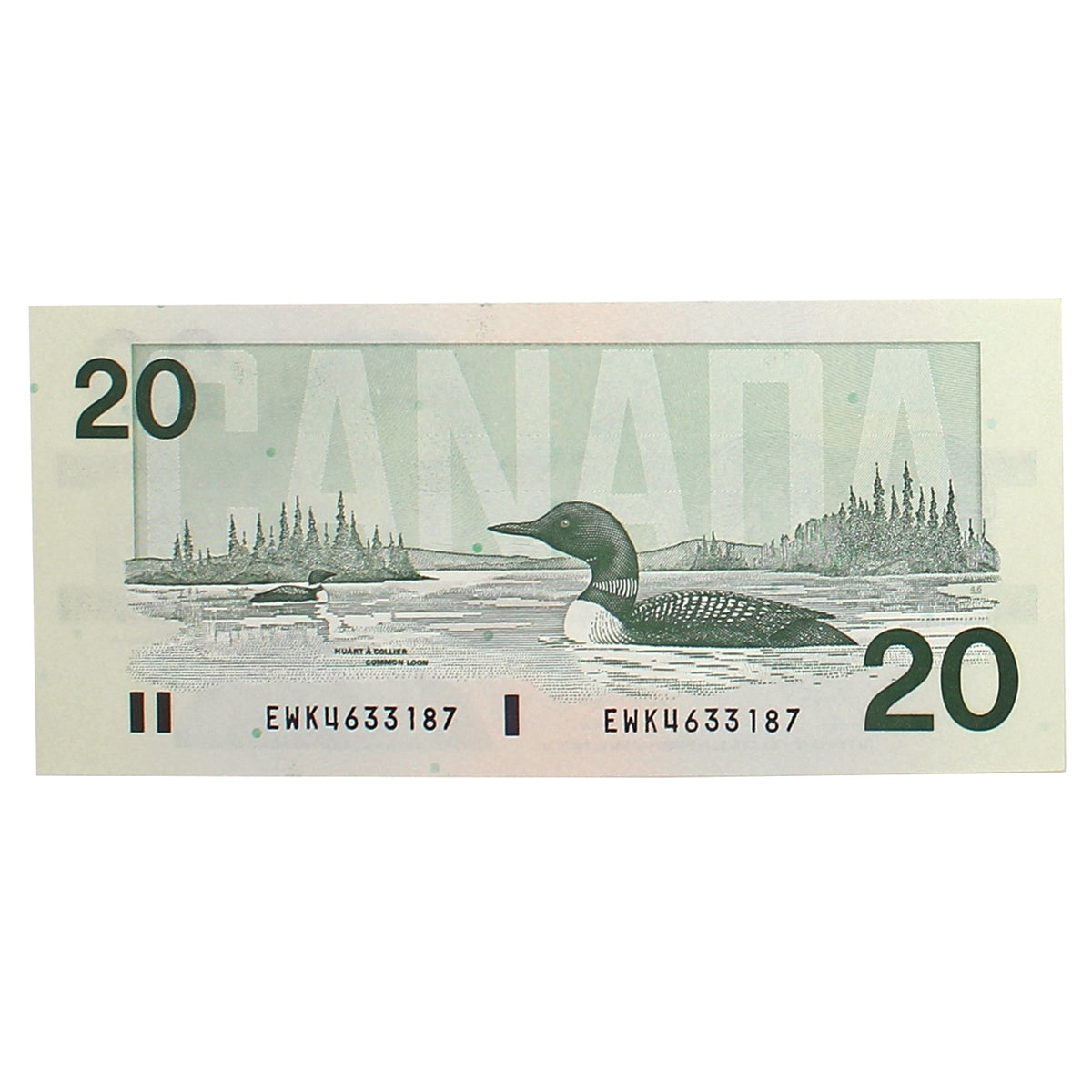 BC-58d 1991 Canada $20 Knight-Dodge, EWK, CUNC