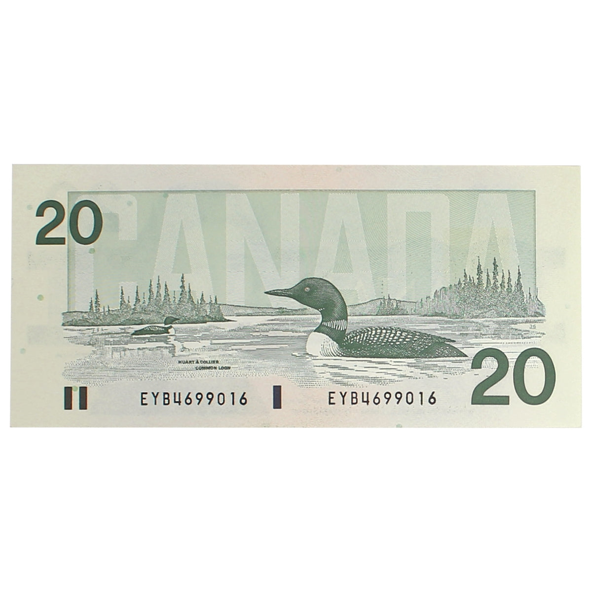 BC-58d 1991 Canada $20 Knight-Dodge, EYB, AU
