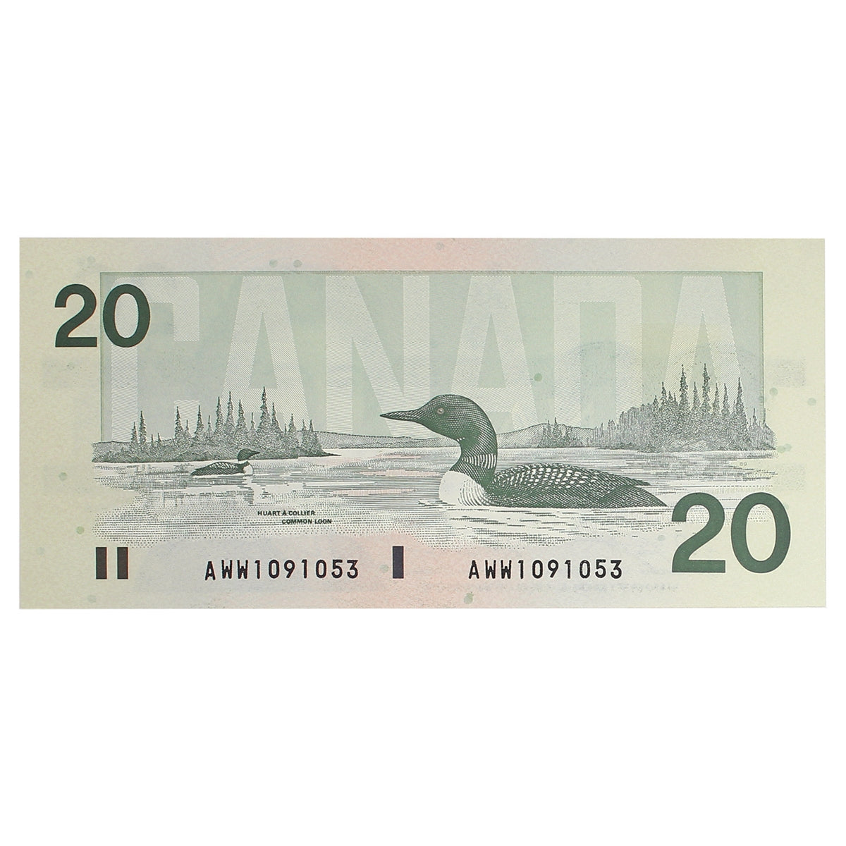 BC-58d-i 1991 Canada $20 Knight-Dodge, AWW, CUNC