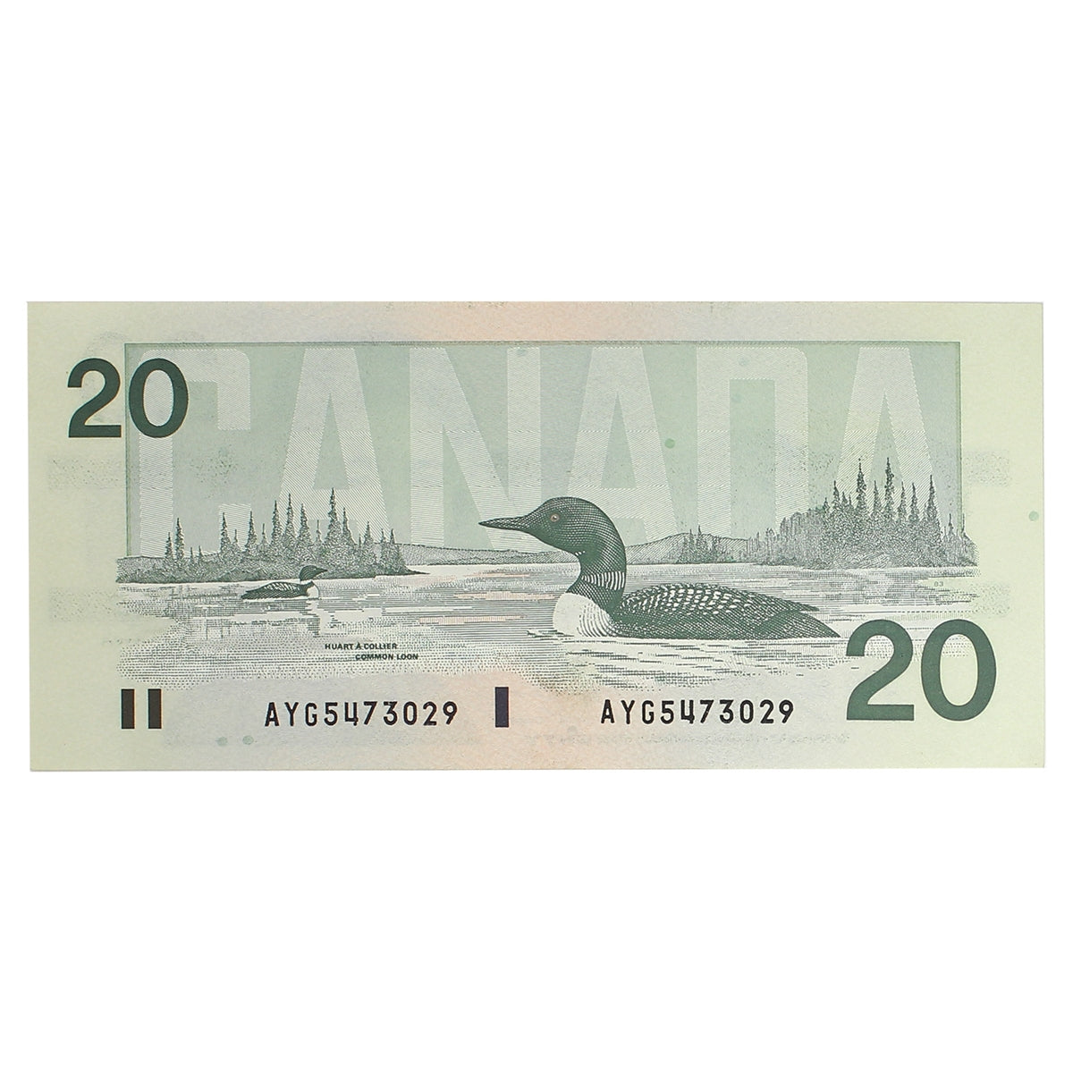BC-58d-i 1991 Canada $20 Knight-Dodge, AYG, AU
