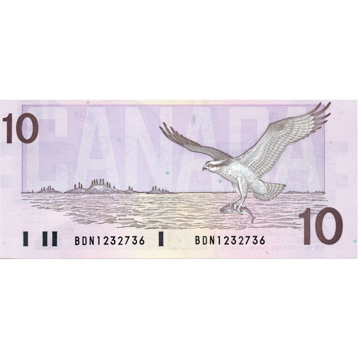 BC-57b 1989 Canada $10 Bonin-Thiessen, BDN, AU-UNC (AU55)
