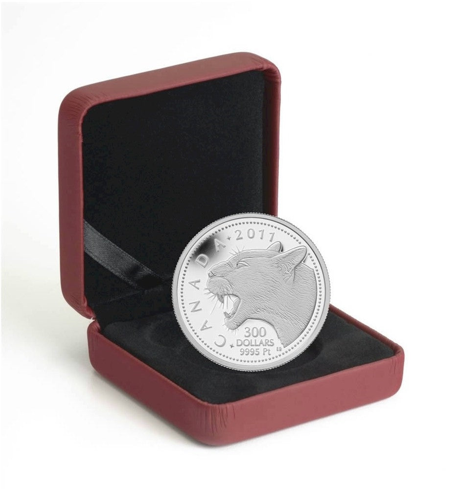 2011 Canada $300 Cougar Platinum Coin (TAX Exempt) Creased Box