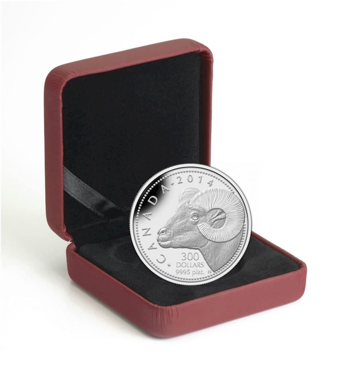 2014 Canada $300 Rocky Mountain Bighorn Sheep Platinum (No Tax) Small scratch on capsule