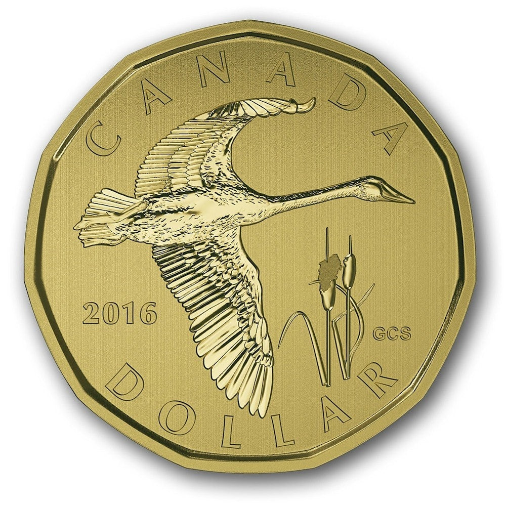 RDC 2016 Canada Tundra Swan Specimen Set (Scuffed Sleeve)