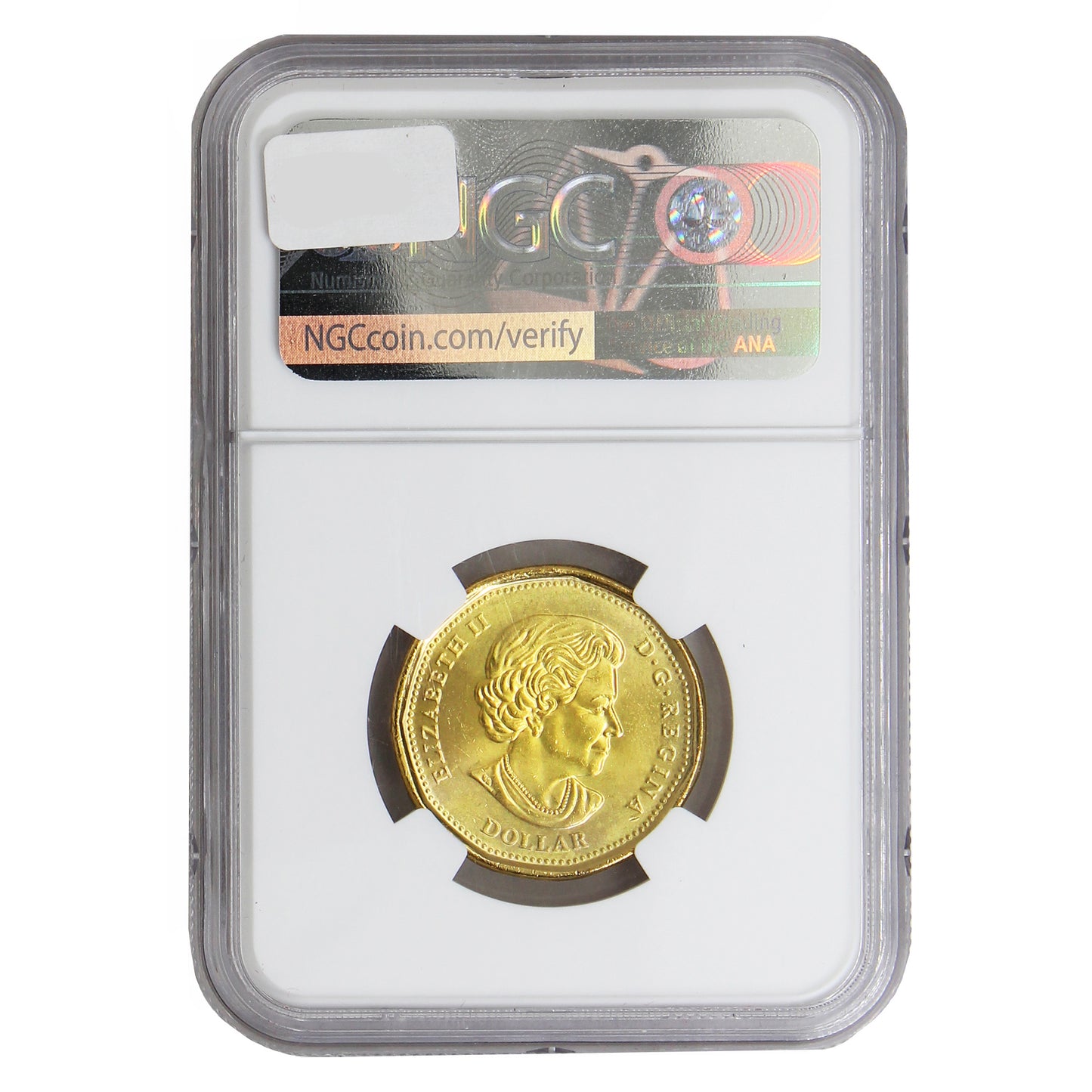 2021 Coloured Klondike Gold Rush Canada Dollar NGC Certified MS67 First Releases