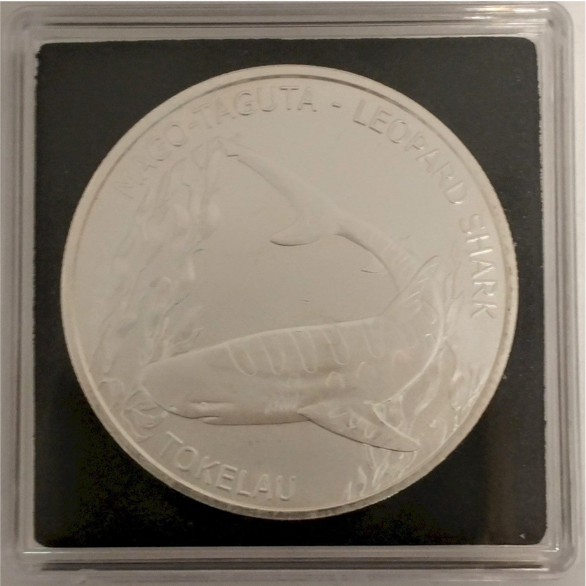 Box of 10x Quadrum Square Coin Capsules for 39mm Coins (assorted Silver) Quadrum39