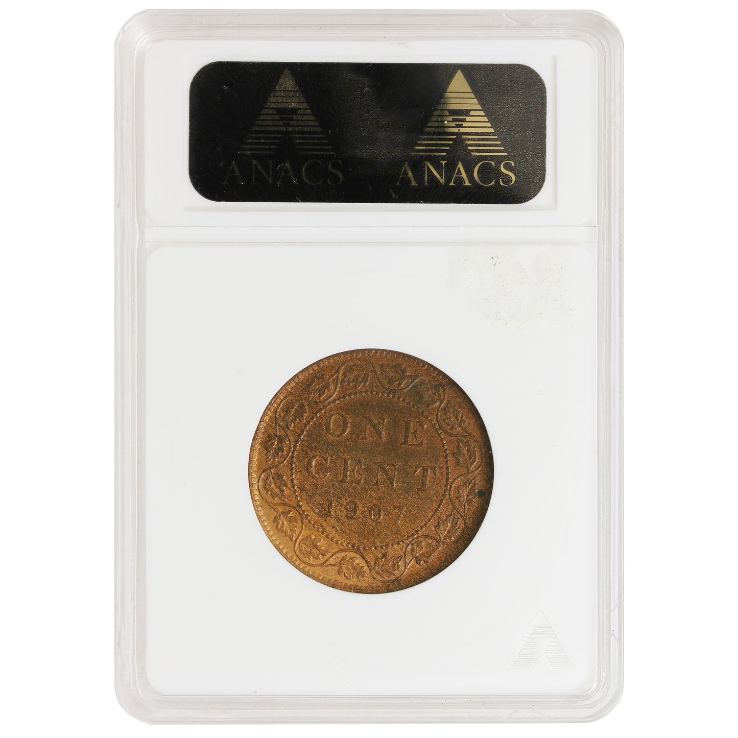 1907 Canada 1-cent ANACS Certified MS61 Red and Brown
