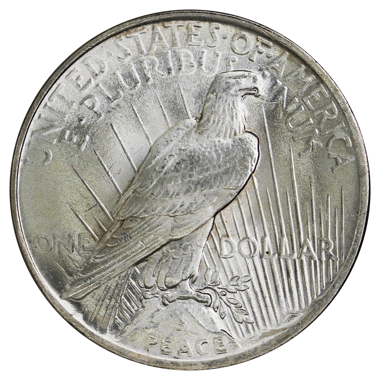1924 USA Dollar Choice Brilliant Uncirculated (MS64) $