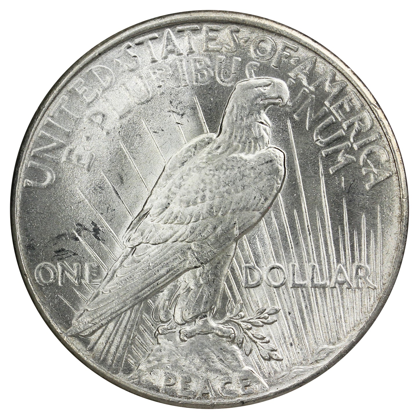 1925 USA Dollar Choice Brilliant Uncirculated (MS64) $
