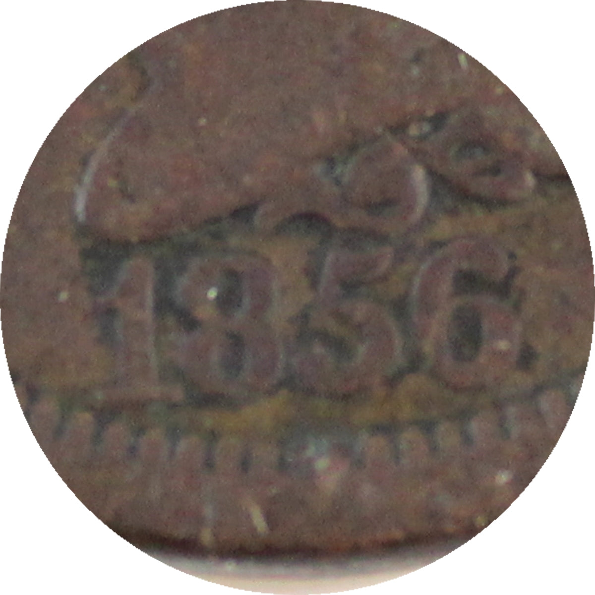 1856 Slanted 5 USA Cent Very Fine (VF20)