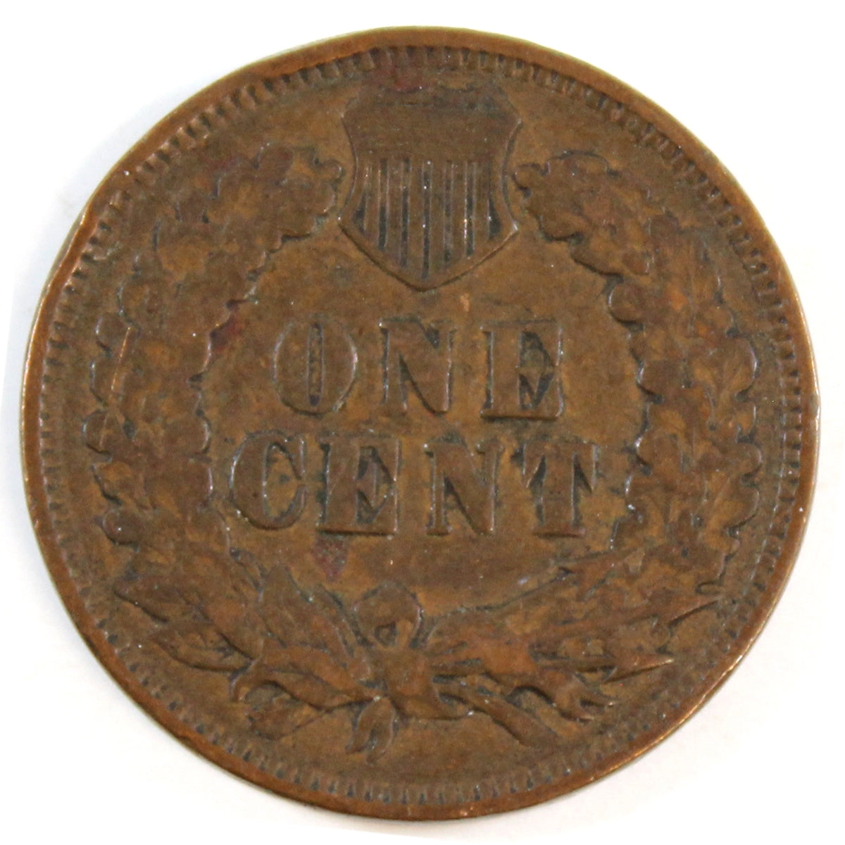 1901 USA Cent VG-F (VG10)