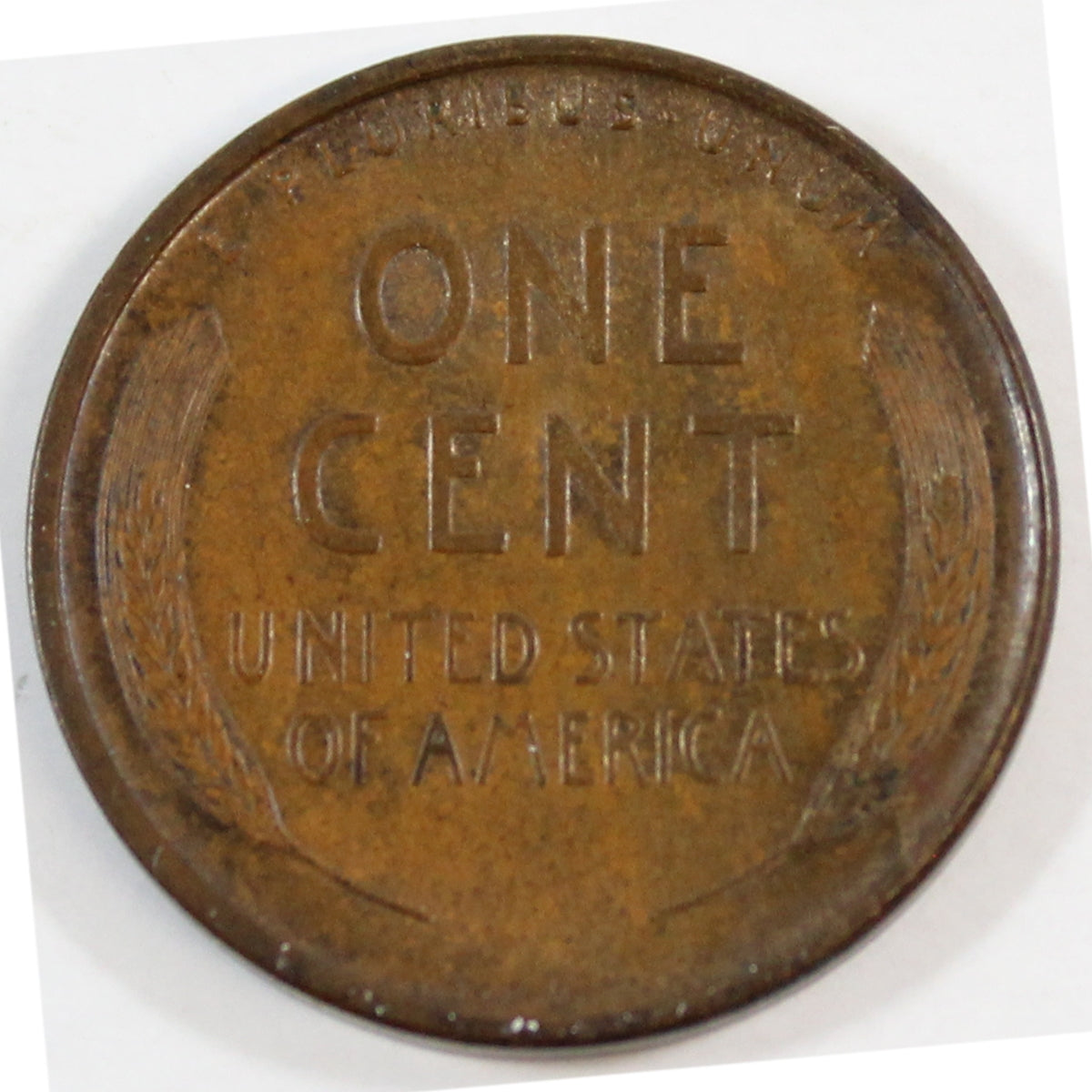1909 VDB USA Lincoln Cent UNC+ (MS62)