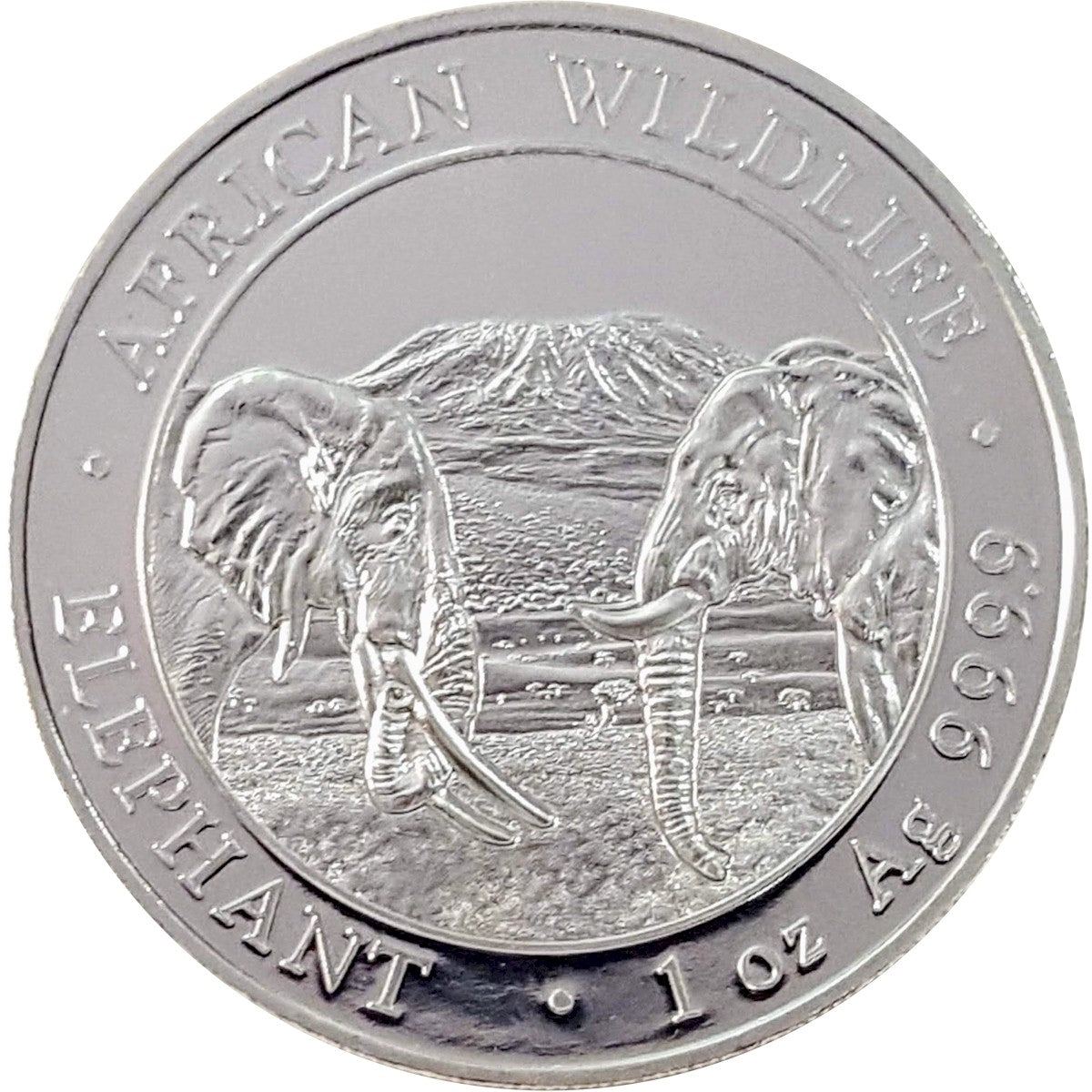 2020 Somalia 100 Shilling Elephant 1oz Silver (No Tax) White Tone Spots