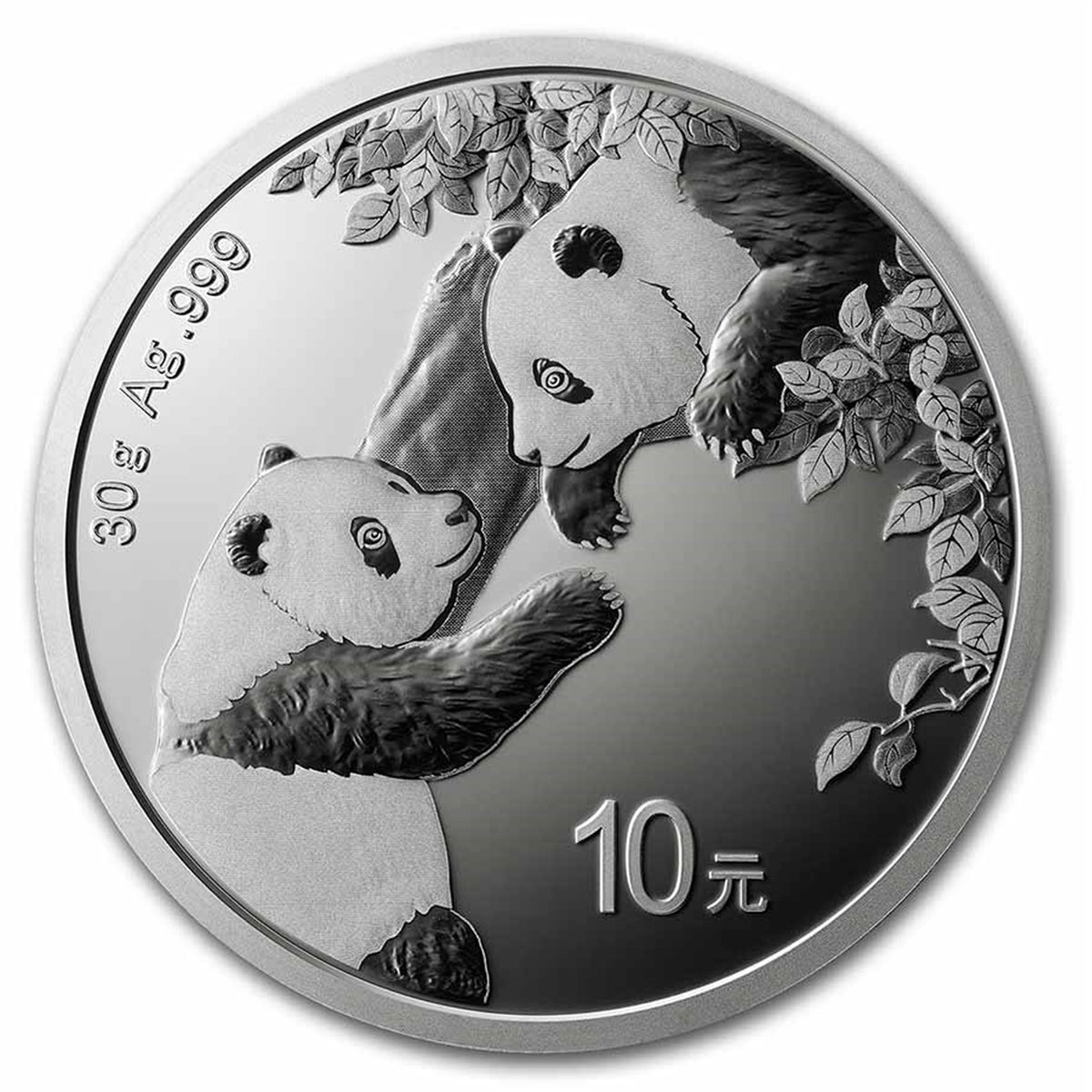 2023 10Y China Panda 30g .999 Silver (No Tax) Scratches Capsule
