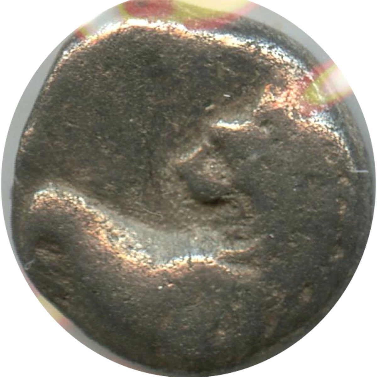Ancient Greece 386-338BC Lion/Squares Chersonesos Thrace AR Hemidrachm F-VF (F15) $
