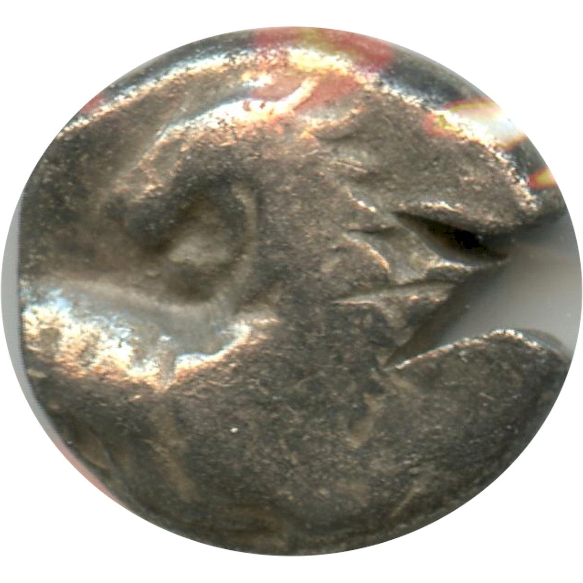 Ancient Greece 386-338BC Test Cut Chersonesos Thrace AR Hemidrachm Very Fine (VF20) $