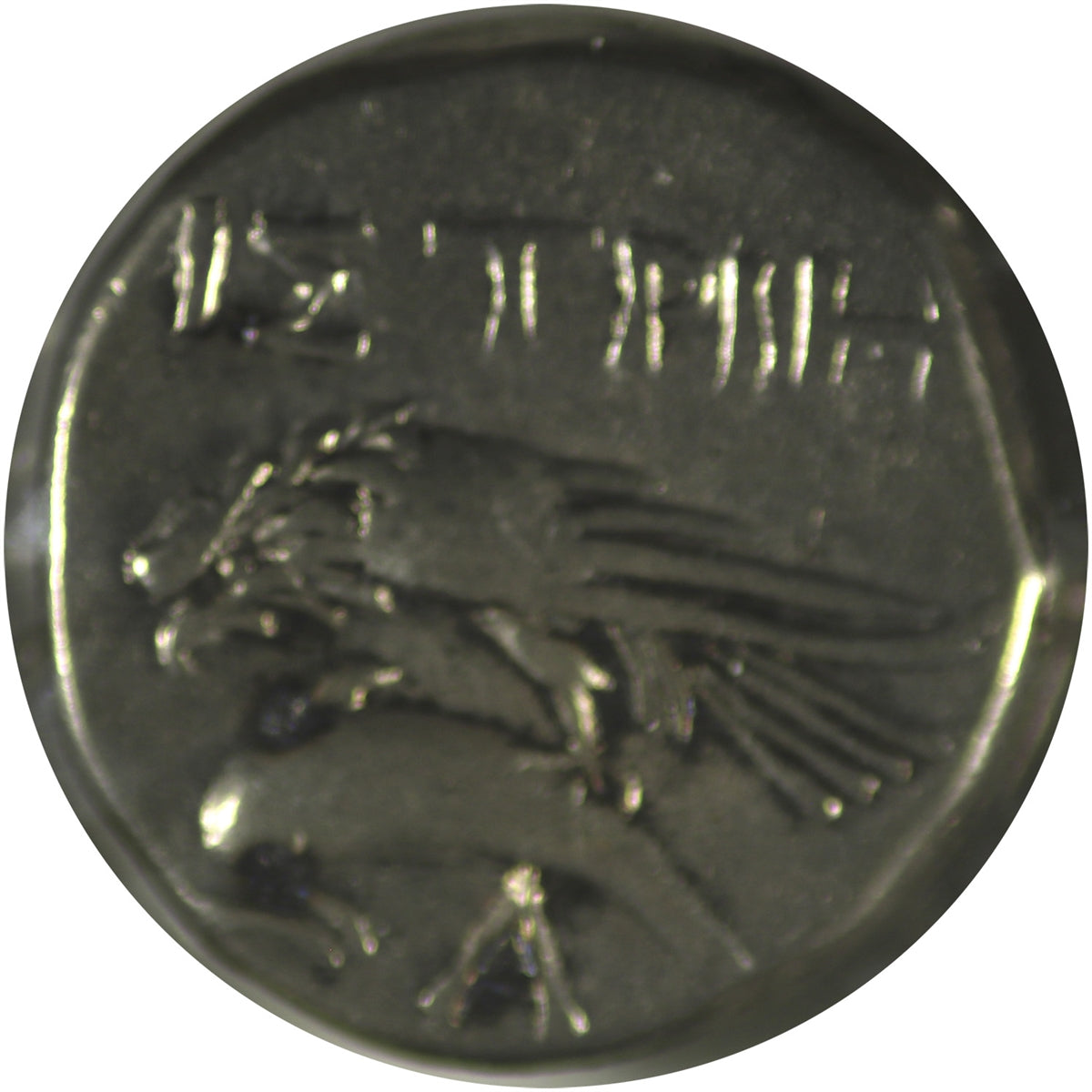 Ancient Greece 400-350BC Moesia Istros Silver Stater, VF-EF (VF30) $