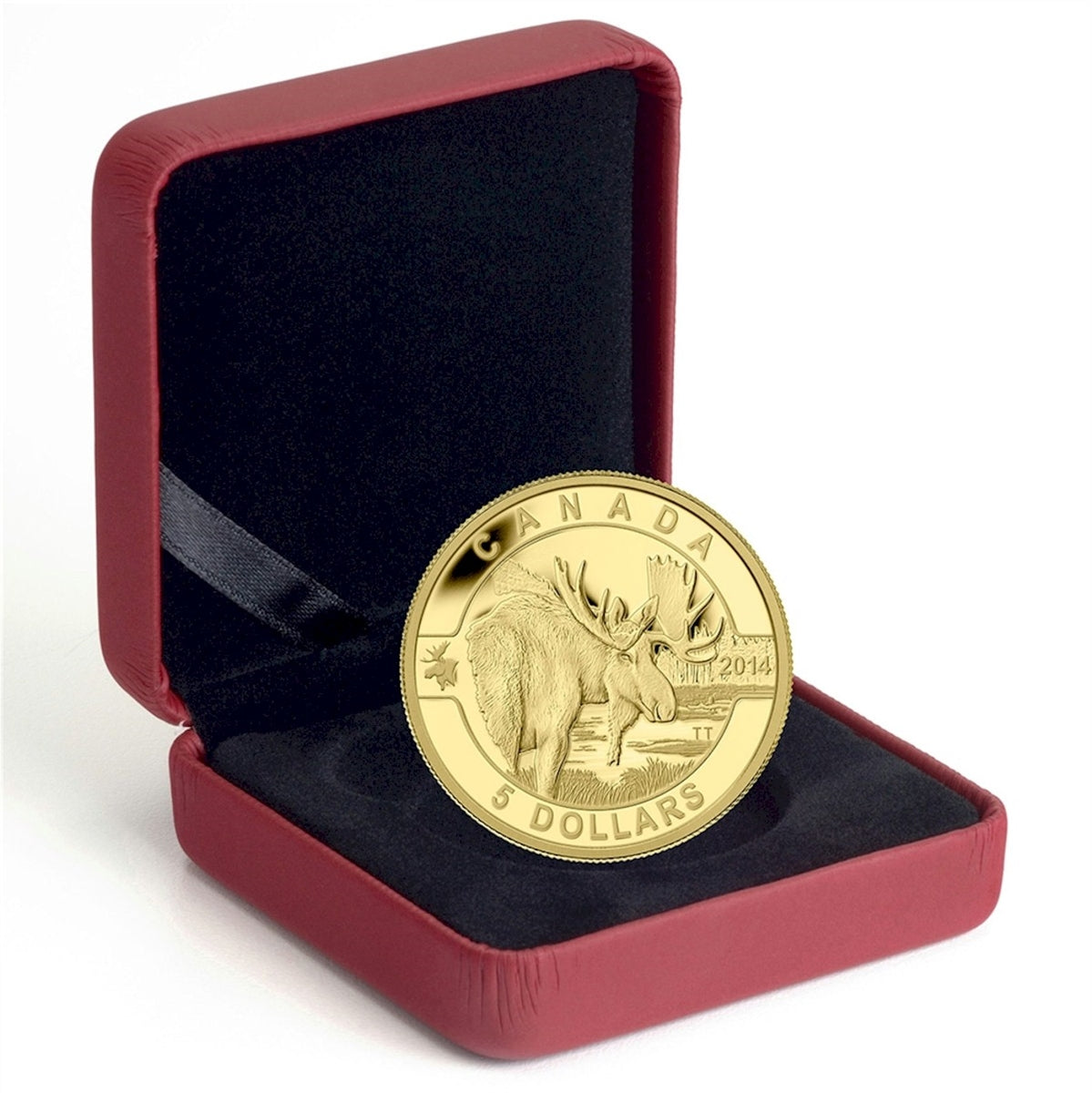 2014 $5 O Canada - Moose 1/10oz Pure Gold Coin (TAX Exempt)