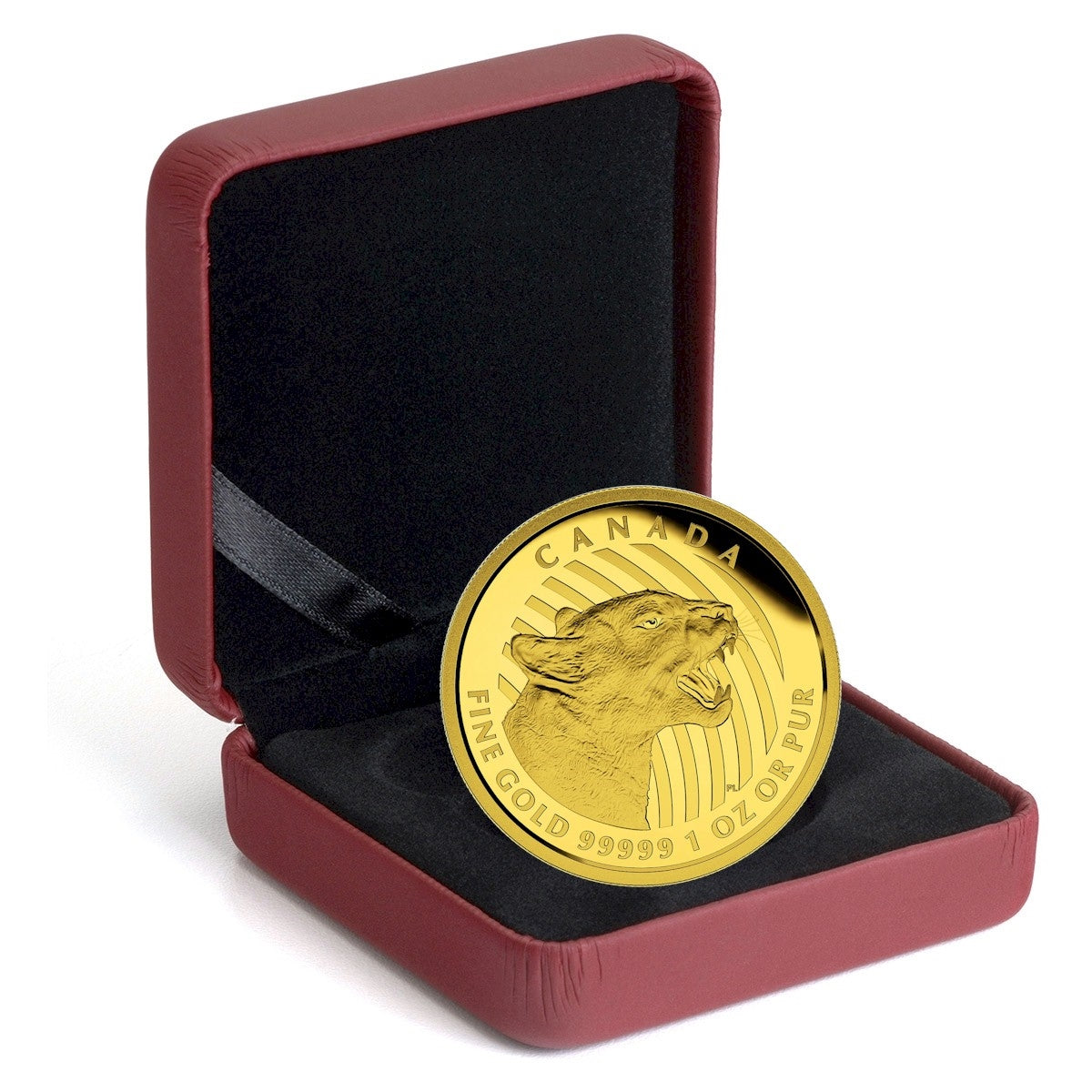 2015 Canada $200 Growling Cougar 1 oz. Pure Gold Coin (No Tax)