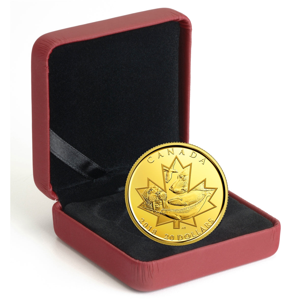 2018 Canada $20 Symbols of the North 1/10oz. Pure Gold Coin (No Tax)