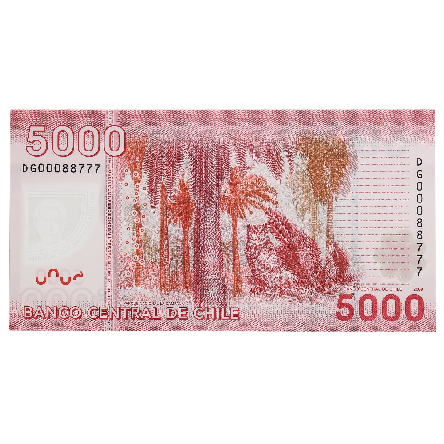 Chile 2009 5000 Peso Note, Pick #163a, UNC