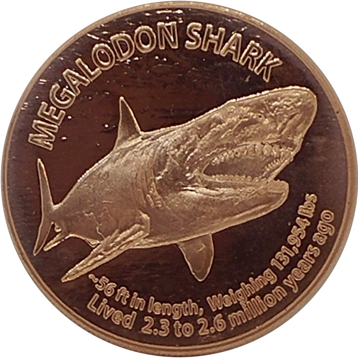 Megalodon Shark 1oz. .999 Fine Copper