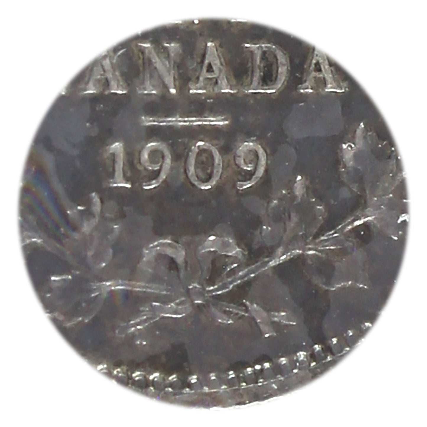 1909 Round Leaves, Bow Tie Canada 5-cents ICCS Certified EF40 (toned)