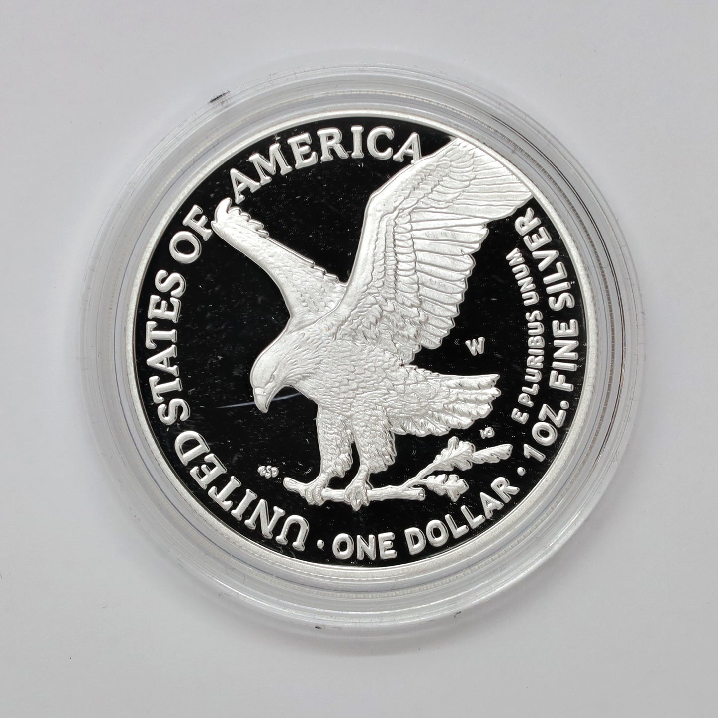 2024 W USA $1 American Eagle Proof 1 oz. .999 Silver with COA in Box (No Tax)