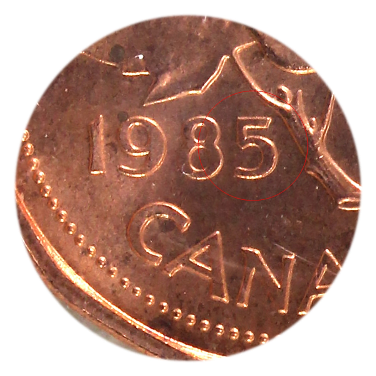 1985 Pointed 5 Canada 1-cent ICCS Certified MS64 Red