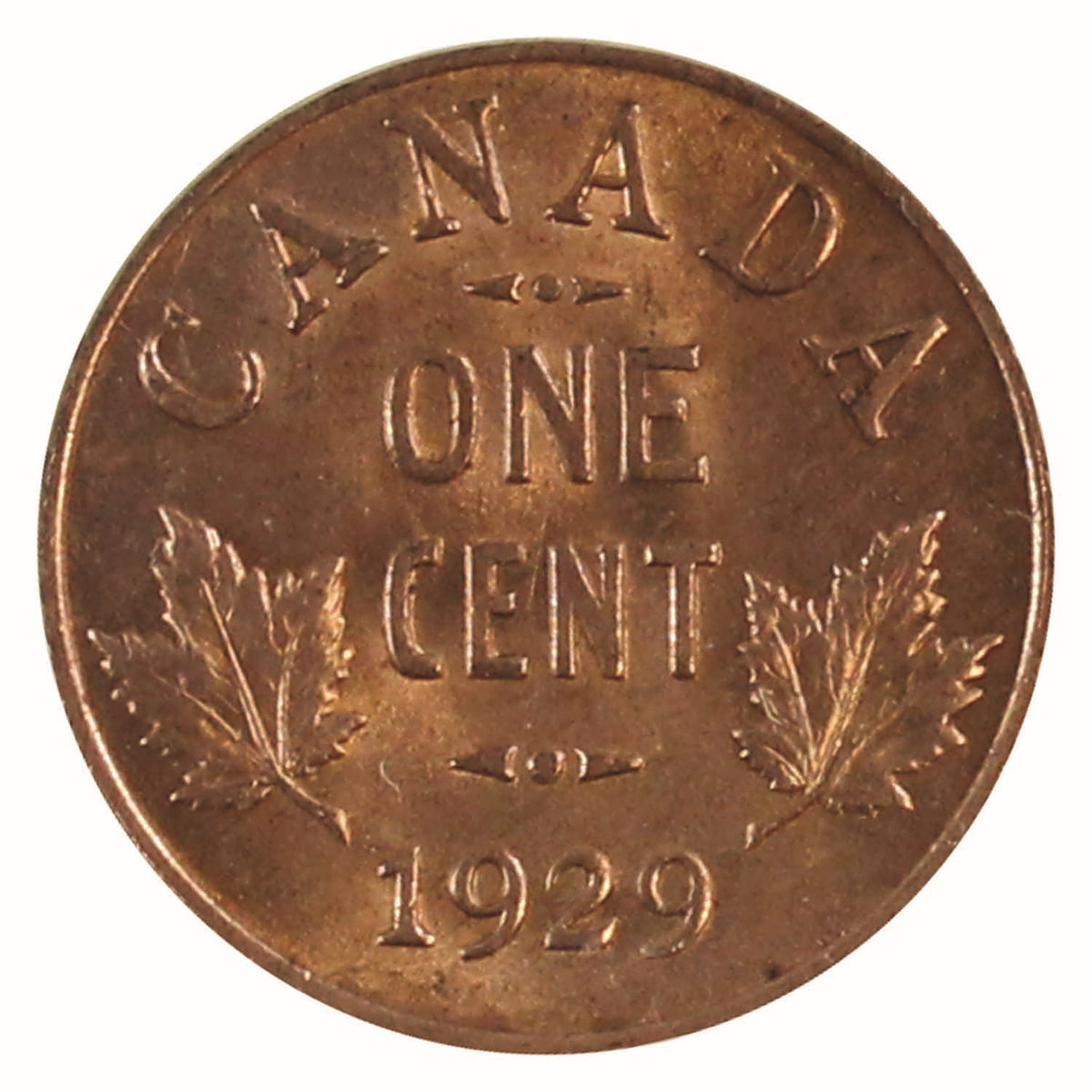 1929 Canada 1-cent ICCS Certified MS64 Red (XVP 341)