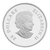 2010 Canada $20 Tanzanite Crystal Snowflake Fine Silver
