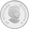 2011 Canada $20 Emerald Crystal Snowflake Fine Silver