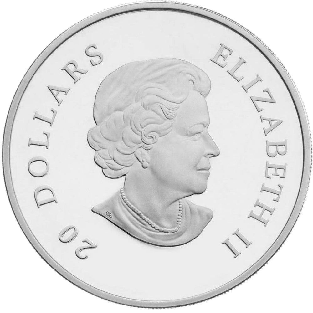 2011 Canada $20 Small Crystal Snowflakes - Hyacinth Fine Silver