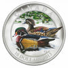 2013-2014 $10 Ducks of Canada 3-coin Deluxe Box Set & Caller (No Tax)