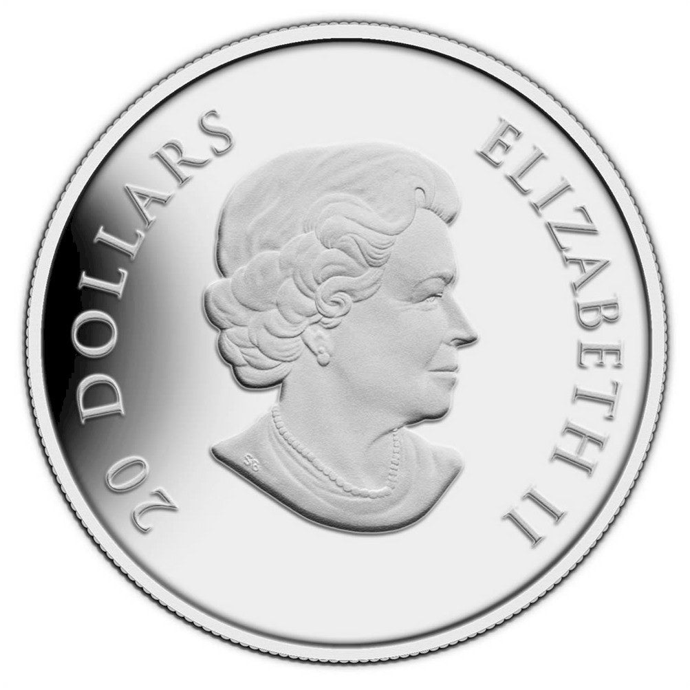 2013 Canada $20 Winter Snowflake Fine Silver