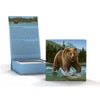 2014 Canada $100 The Grizzly ($100 for $100) Fine Silver (No Tax)